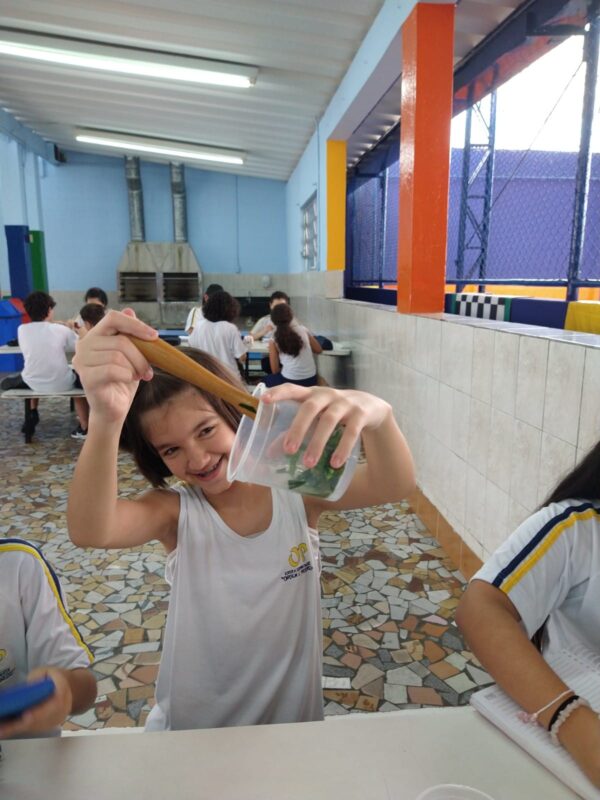 Escola Ordem e Progresso